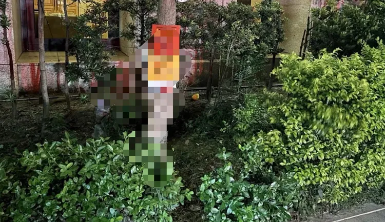 少年撿球不慎失去重心墜2樓，落入花圃躲過一劫，新莊警方籲居家防墜。翻攝畫面