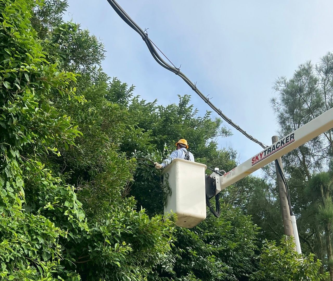 備戰沙德爾颱風 台電動員逾7千人全力戒備
