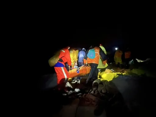 墾丁虎頭蜂蜇人2死1傷　倖存女需洗腎