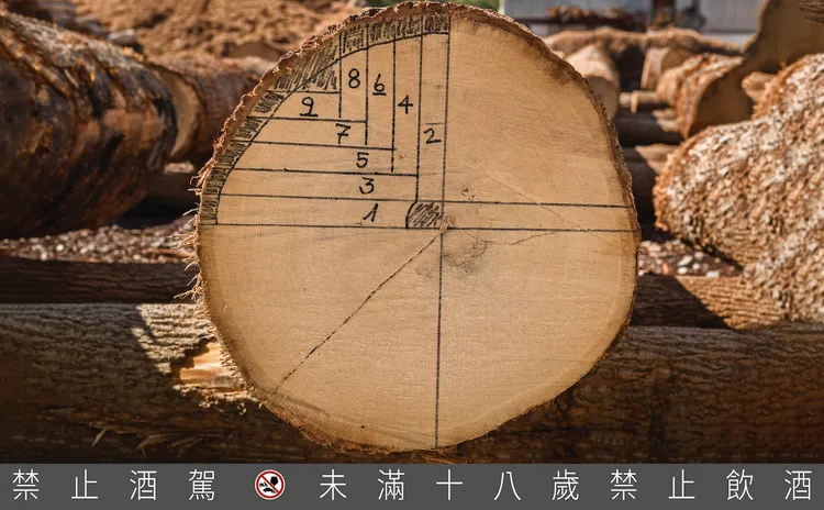 麥卡倫透過精準掌握木心與四分鋸工法，使橡木能完美平衡桶内壓力，以盛裝威士忌酒液。業者提供