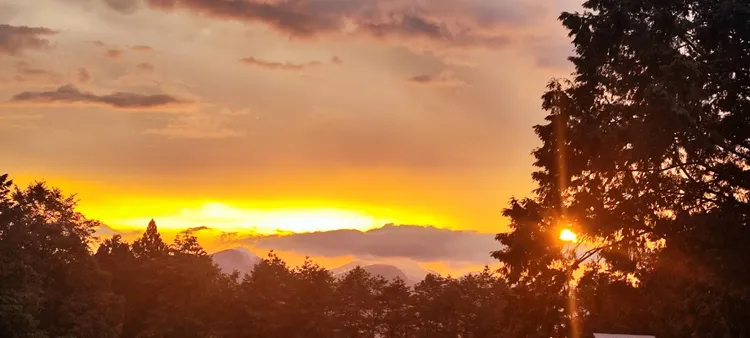 行程還可飽覽壯麗的阿里山雲海景觀。林保署嘉義分署提供
