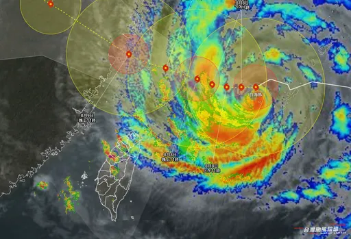 白海豚勾到「台灣陸地」了！雙眼牆旋繞　路徑擺盪