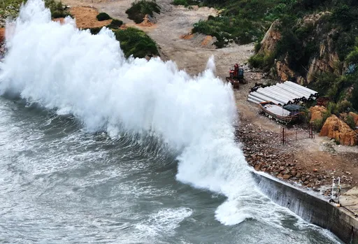 剉咧等！白海豚直撲中國　福建浙江上海急撤21萬人