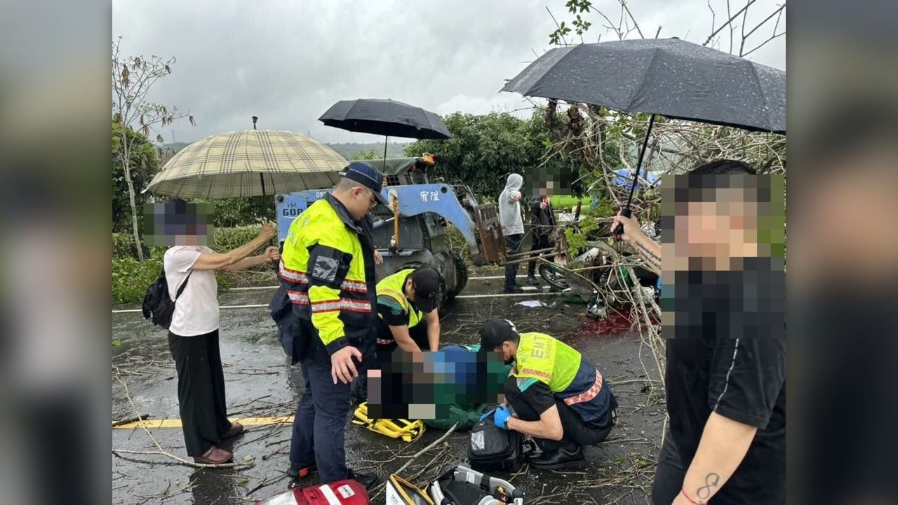黃花風鈴木倒塌...壓死過路郵差 母提告國賠二審多判30萬原因曝光