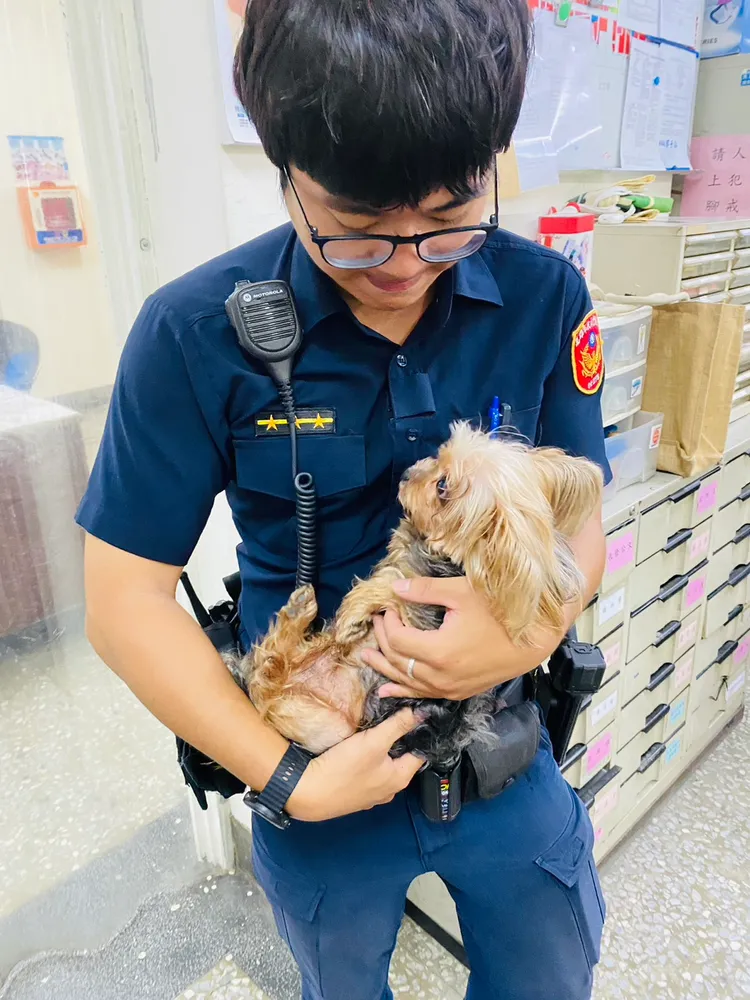 約克夏犬竟自行走進派出所，員警安置照料。翻攝畫面