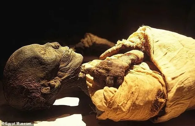 圖特摩斯二世（King Thutmose II）的木乃伊。翻攝自Ｘ