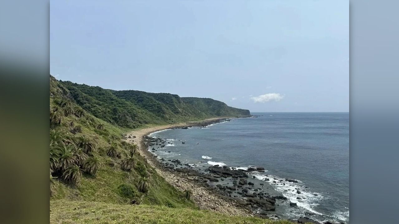 屏東虎頭蜂蜇人釀重大傷亡 滿州出風鼻生態保護區探勘2死1傷
