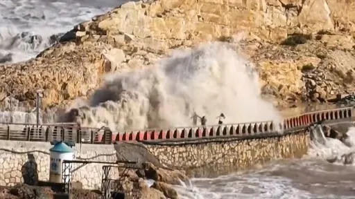影片｜颱風接近硬闖海邊觀浪「4口家-1」　9歲兒捲入海裡消失了