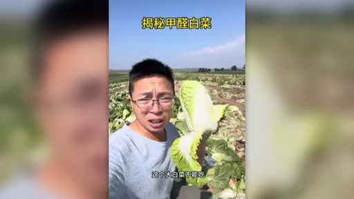 黑心保鮮法！河北驚現「甲醛毒白菜」　網嚇傻：流向哪裡？