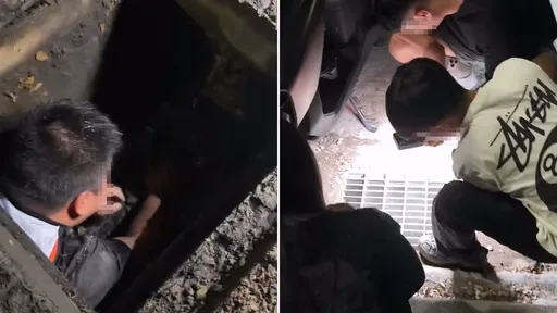 路邊遺失HW婚戒懸賞10萬　尋寶大作戰！熱心男鑽水溝畫面曝