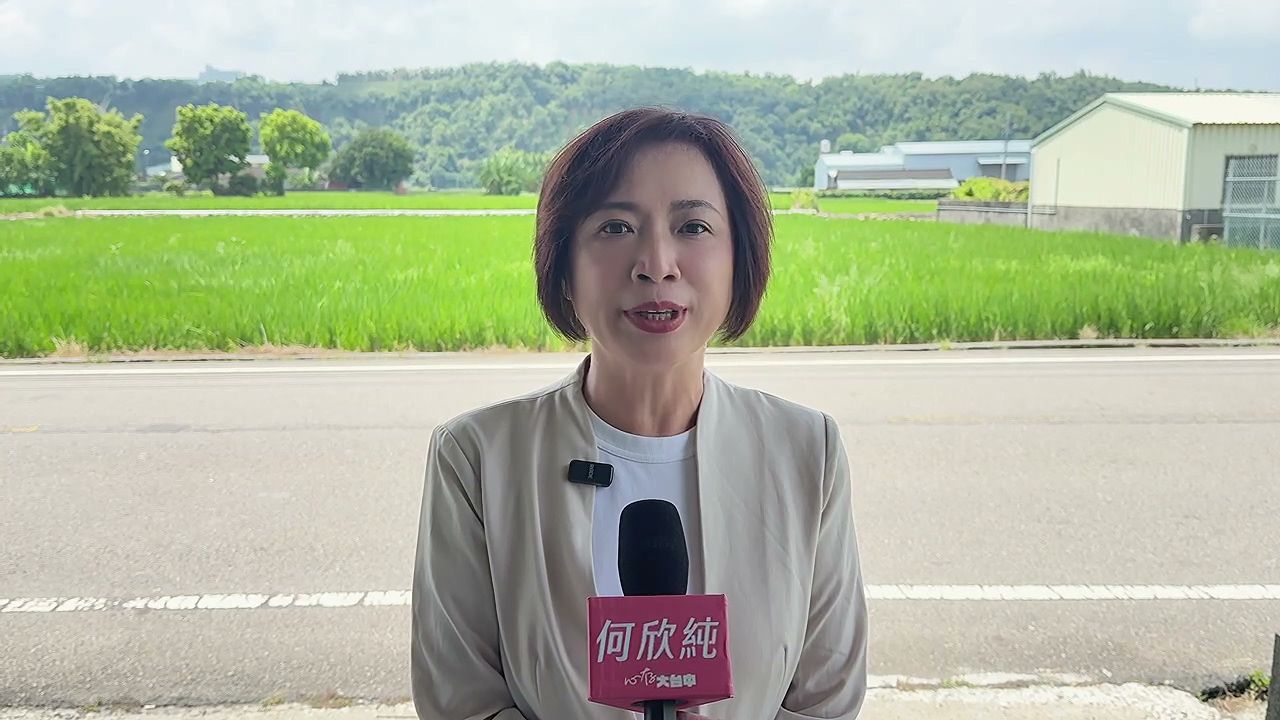 台中市長選舉最新民調「僅差6.7%」 何欣純喊:即將黃金交叉