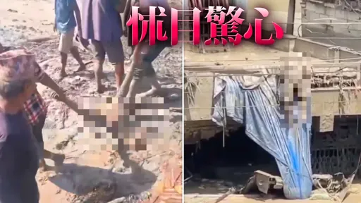 下半身沒了！川普見尼泊爾洪災嘆4字　離譜行徑惹怒全球