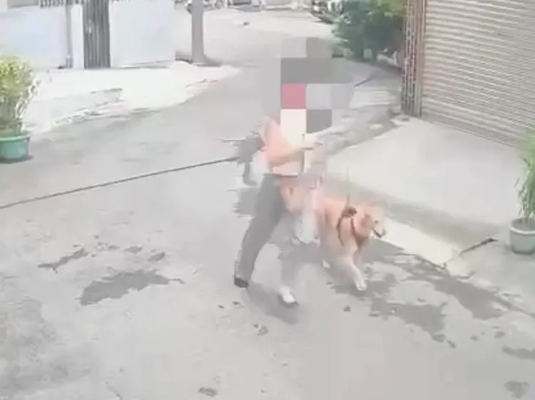 遛狗女子帶愛犬逃命。翻攝畫面