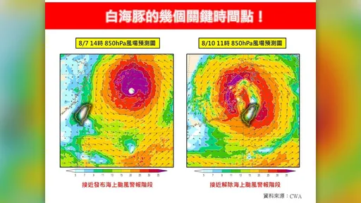 白海豚4個關鍵時間點！專家：明晚起風雨最大