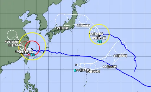鯨魚殘骸起死回生　恐三颱共存