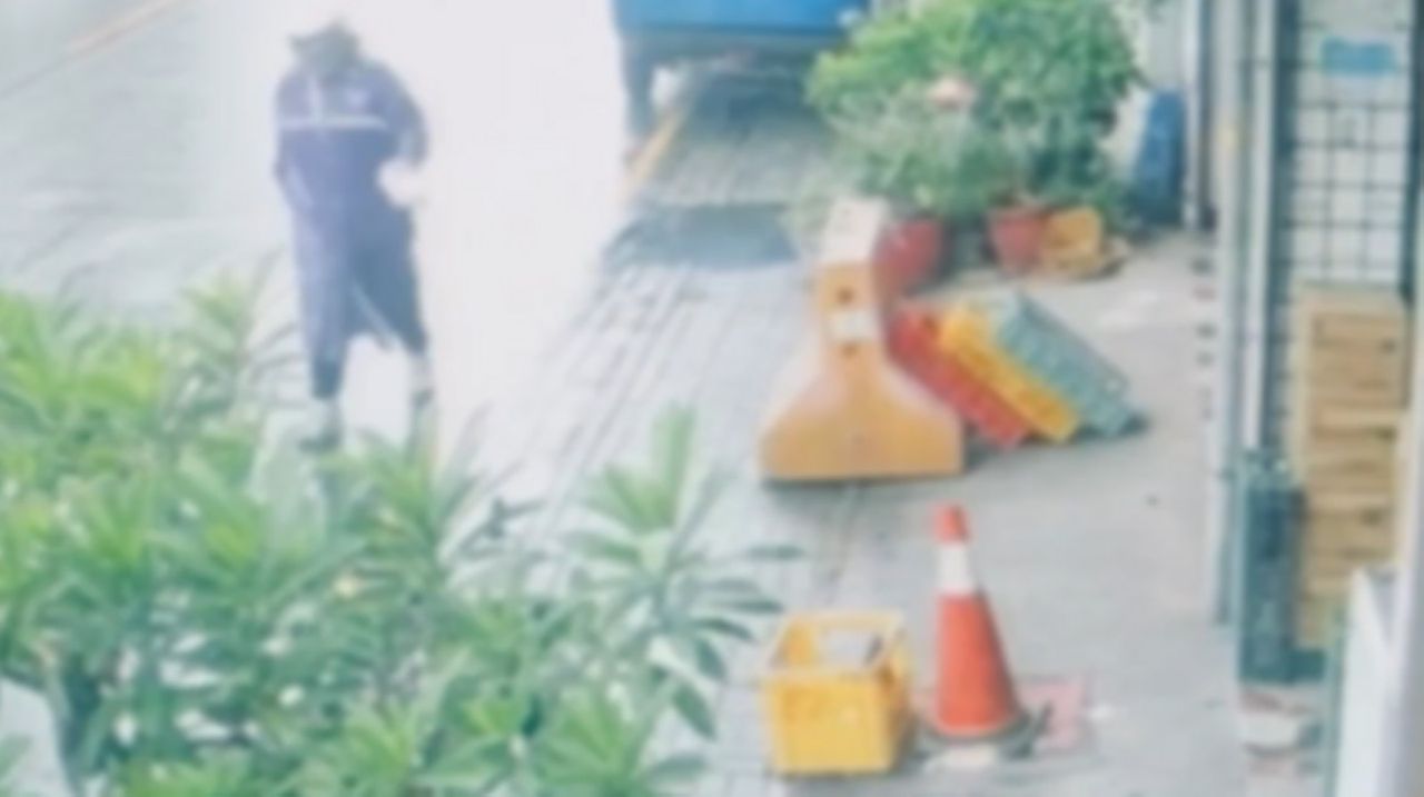 周氏蝦捲安平店遭潑「一袋活蟑螂」!警方鎖定30歲雨衣男 業者今休業1天