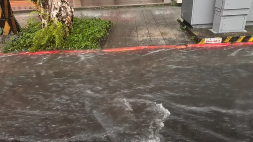 大雷雨炸台北　顏若芳提醒：中山大同多處積淹水