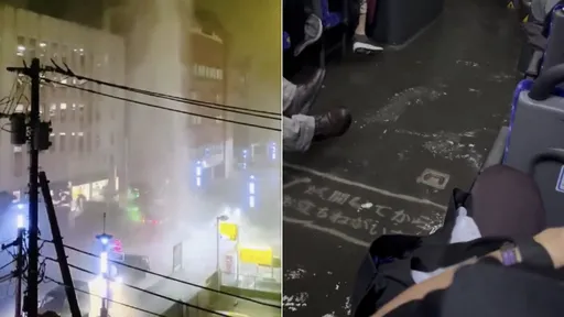 3小時降1.5月雨！日本千葉大淹水4死1失蹤　老婦溺斃車內