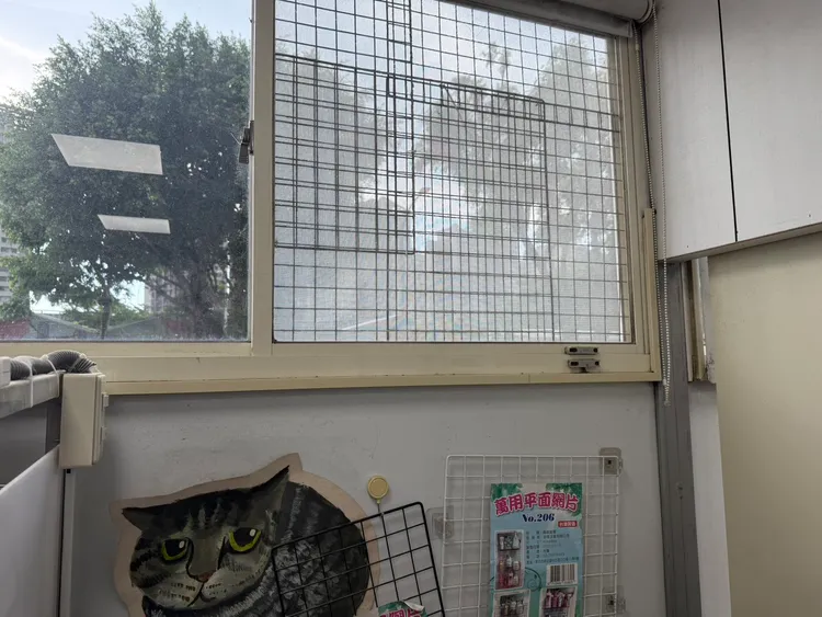 新北動保處呼籲飼主門窗應加裝防護措施，防止動物逃逸。動保處提供