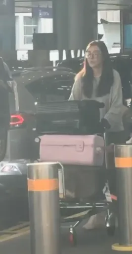 疑似王祖賢的女子推著一堆行李返現身桃機返台。讀者提供