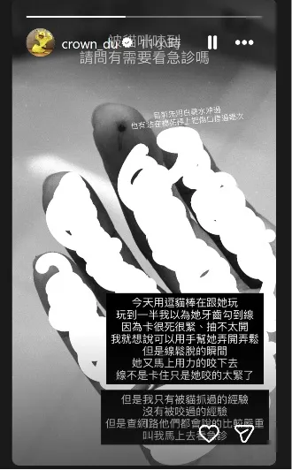 滴妹被貓咬傷，發文求助網友需看急診嗎？翻攝滴妹IG