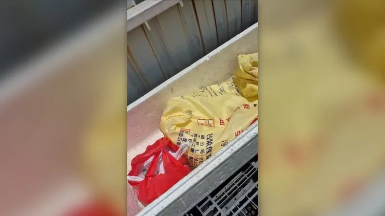 陳男在市場工作，順手帶到該處，放在魚攤的保麗龍箱，魚販整理時嚇壞了。民眾提供