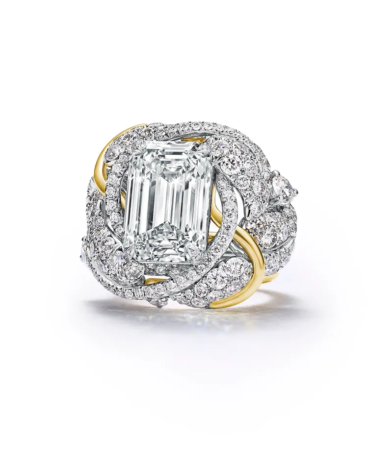 Tiffany & Co. Monarch蔓隱蝶蹤篇章鉑金和黃K金戒指。品牌提供