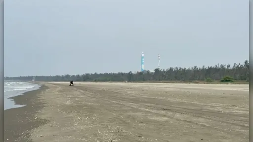 通緝犯逃20年偷渡返台　開小艇9HR跨越台灣海峽　法院判決曝光