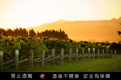 紐西蘭白酒突破高酸印象　懷得天堂木桶白蘇翁中秋到港