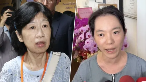 陳佩琪吃味了！陳幸妤飆罵、背愛馬仕都被讚　感嘆「都是陳醫師差這麼多？」