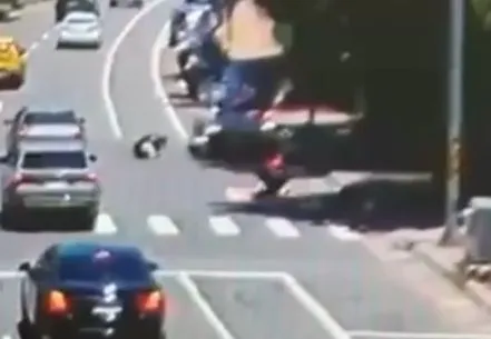 張姓騎士連人帶車倒在車道上。翻攝畫面