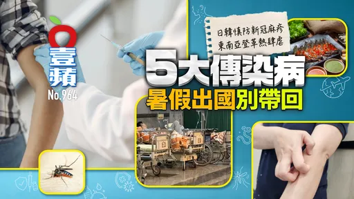 5大傳染病出國別帶回來！日韓防新冠麻疹   東南亞小心登革熱（壹蘋10點強打）