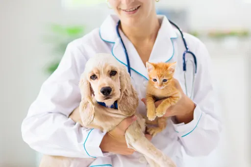 法國皇家解析幼齡貓犬四大照顧誤區　陪伴新手爸媽突破照護毛孩盲點