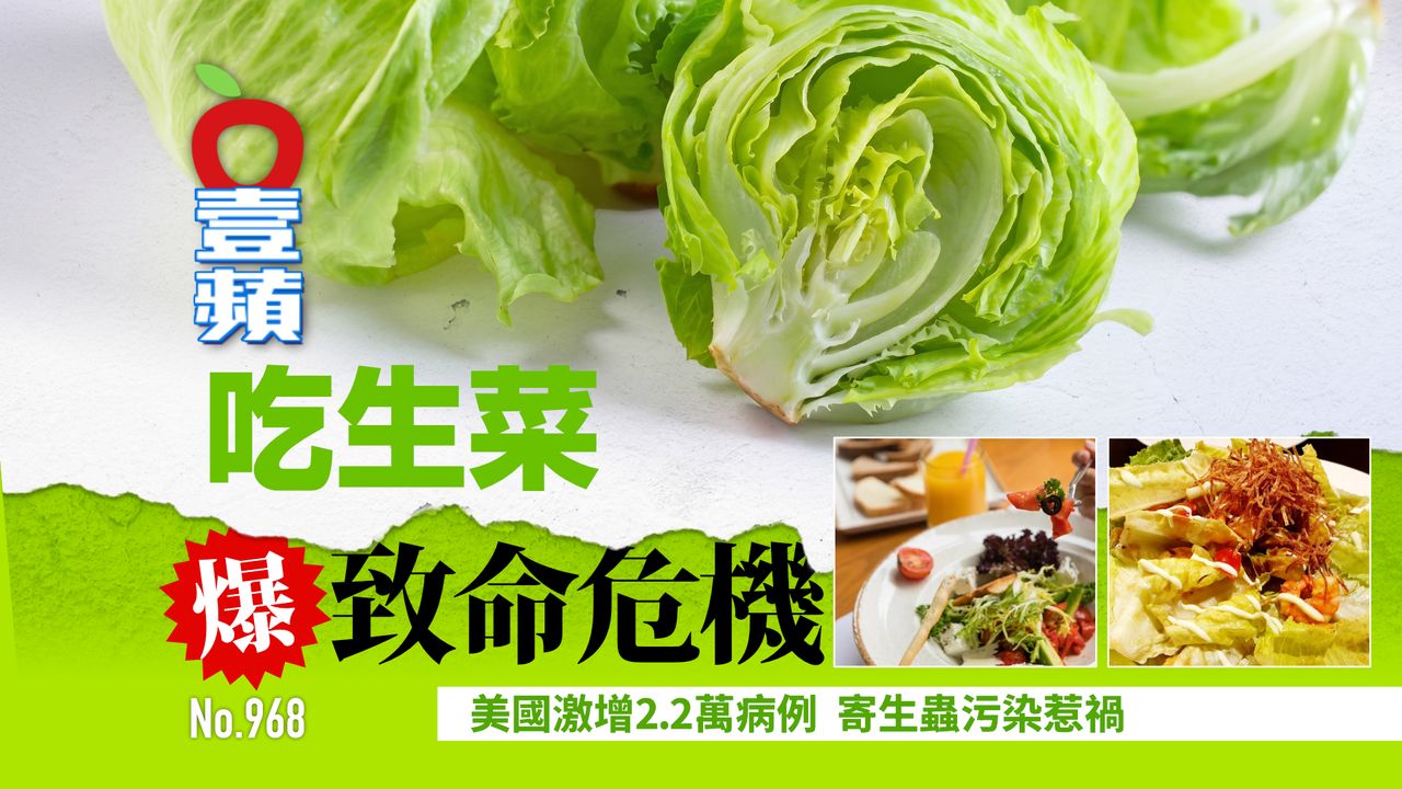 吃生菜爆致命危機!美國激增2.2萬病例 寄生蟲污染惹禍(壹蘋10點強打)