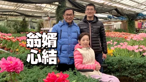 趙建銘怨「阿扁為特赦害他被關」　謝龍介曝趙家父子假釋內幕