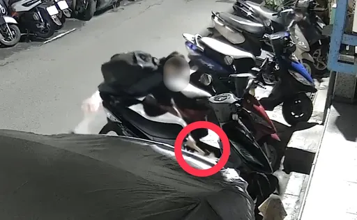 浪貓遭鐵鎚猛擊！監視器拍下驚悚瞬間　39歲男到案辯：臨時起意