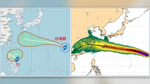白海豚侵台機率提升！這天轉雨　最快今晚「同框鯨魚」