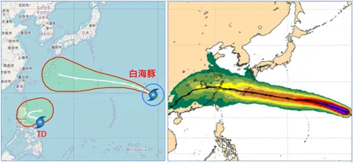 白海豚侵台機率提升！這天轉雨　最快今晚「同框鯨魚」