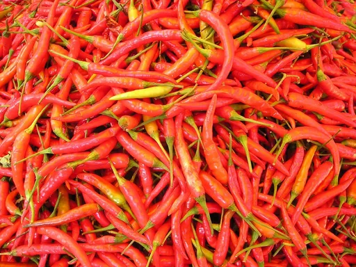 辣椒菜價突然暴漲　菜販：毒油風波造成