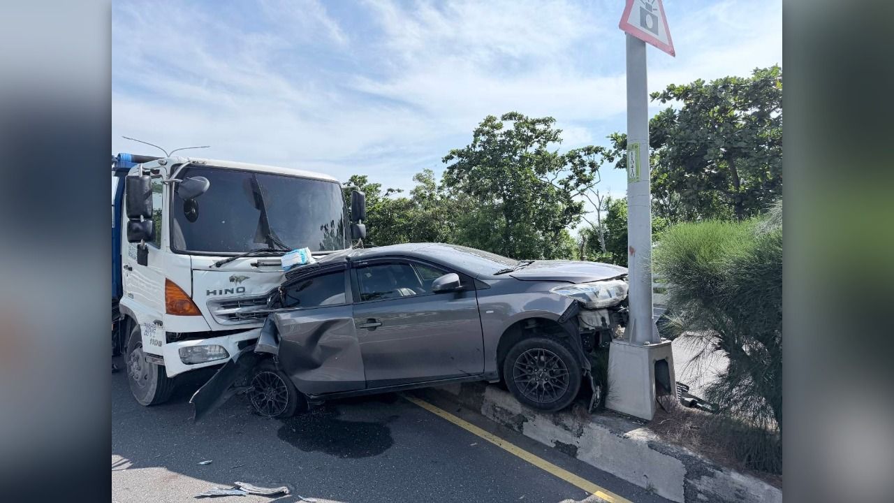 離奇事故闖禍的「不是人」! 牠過馬路害兩車追撞...最終命喪輪下