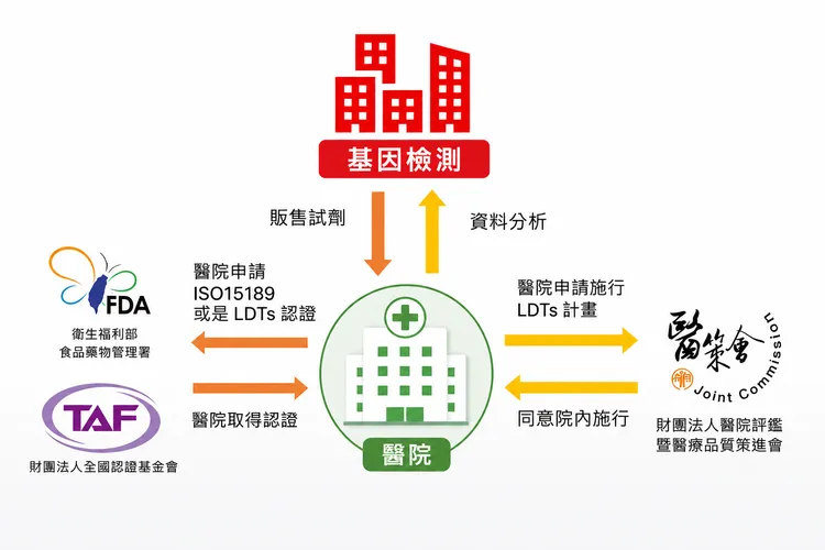 LDTs基因檢測運作架構圖。壹蘋製圖