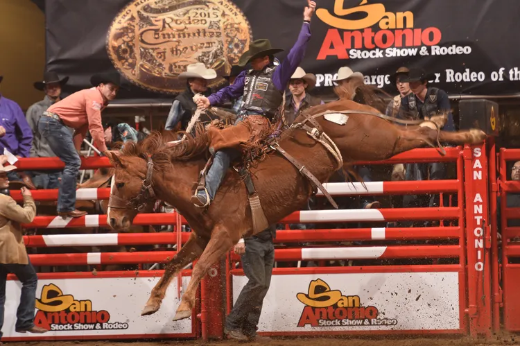 牛仔競技（Rodeo）是德州最具代表性的文化活動之一。德州旅遊局提供