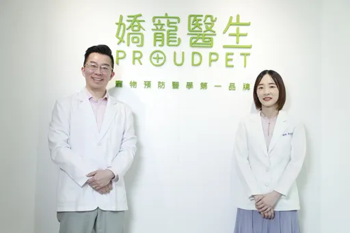 胖貓不是少吃就好！獸醫揭減重5大難題　避免瘦身後又復胖