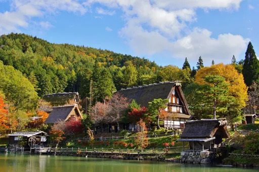 名古屋串聯山海美景　日本中部9縣成秋旅新寵搶攻孝親市場