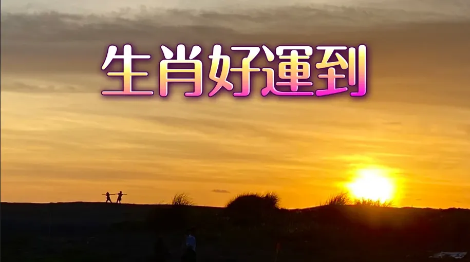 12生肖本周運勢｜鼠應徹底休息　雞有業務壓力　虎為家庭扛責