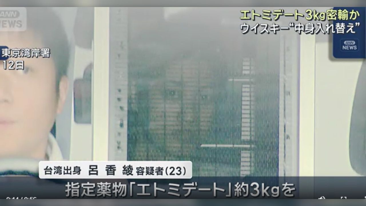 台灣23歲正妹日本栽了!羽田機場落網 無碼照姓名全曝光