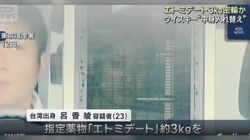 台灣23歲正妹闖日本栽了！羽田機場現行犯落網　無碼照姓名全曝光