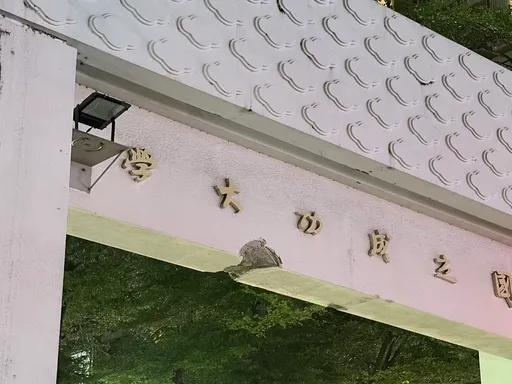 成大70年「窮理致知」牌坊遭抓斗車撞出洞　歷史建築受損引爆網友論戰
