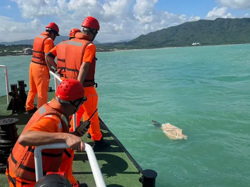 巡邏屏東興海巧遇海龜遭網具纏身！恆春海巡隊伸援手助返大海