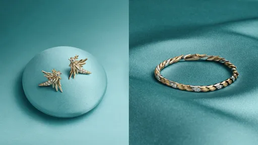 Tiffany & Co.「石上鳥」嶄新蛻變　以羽翼靈動譜寫自由篇章
